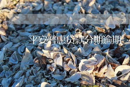 平安普惠贷款分期逾期 平安普惠贷款分期逾期