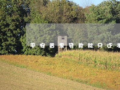 平安普惠贷款能只还本金吗 平安普惠贷款能只还本金吗