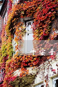 平安普惠贷款逾期9个月怎么办 平安普惠贷款逾期9个月怎么办