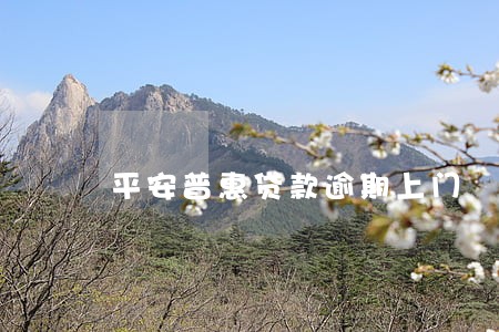 平安普惠贷款逾期上门 平安普惠贷款逾期上门