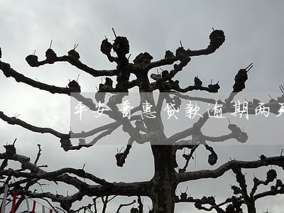平安普惠贷款逾期两天咋弄 平安普惠贷款逾期两天咋弄
