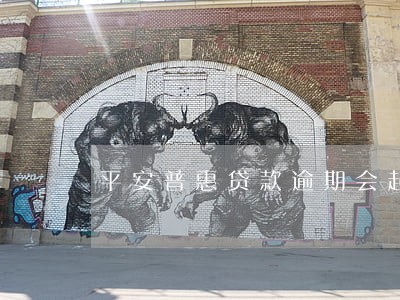 平安普惠贷款逾期会起诉吗 平安普惠贷款逾期会起诉吗