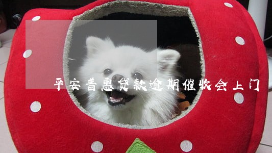 平安普惠贷款逾期催收会上门 平安普惠贷款逾期催收会上门