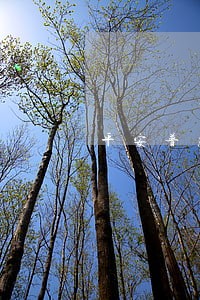 平安普惠贷款逾期催收程序 平安普惠贷款逾期催收程序