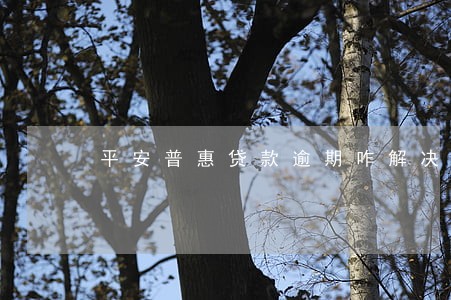 平安普惠贷款逾期咋解决 平安普惠贷款逾期咋解决