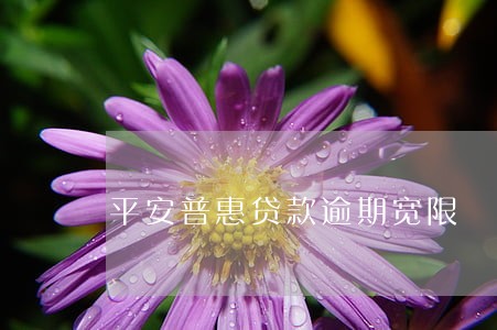平安普惠贷款逾期宽限 平安普惠贷款逾期宽限