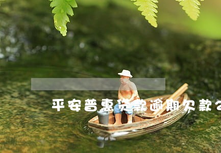 平安普惠贷款逾期欠款20万 平安普惠贷款逾期欠款20万