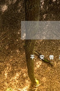 平安普惠贷款逾期短信 平安普惠贷款逾期短信