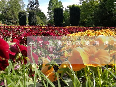 平安普惠贷款逾期跨月 平安普惠贷款逾期跨月