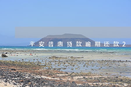 平安普惠贷款逾期还款2天 平安普惠贷款逾期还款2天