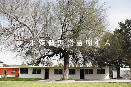 平安普惠贷逾期4天 平安普惠贷逾期4天