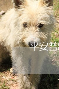 平安普惠逾期1万2年 平安普惠逾期1万2年