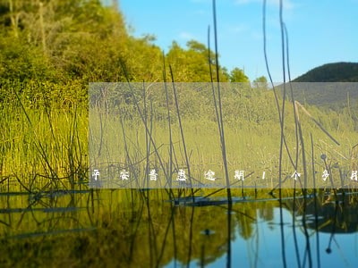 平安普惠逾期1个多月了