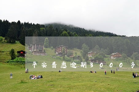 平安普惠逾期3000多 平安普惠逾期3000多