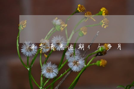 平安普惠逾期3个多月 平安普惠逾期3个多月