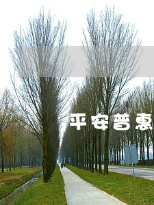 平安普惠逾期3天多 平安普惠逾期3天多