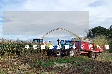平安普惠逾期42天代偿 平安普惠逾期42天代偿