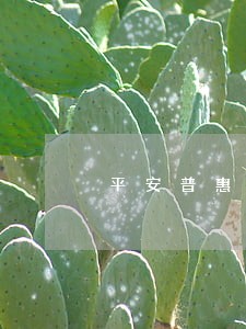 平安普惠逾期48天 平安普惠逾期48天