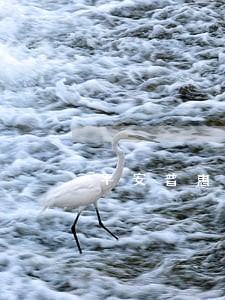 平安普惠逾期4个月 平安普惠逾期4个月