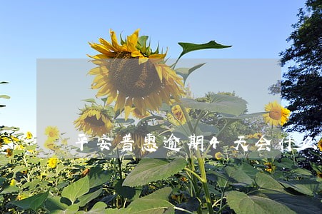 平安普惠逾期4天会什么结果 平安普惠逾期4天会什么结果