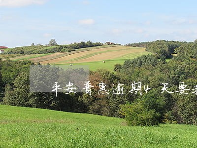平安普惠逾期4天要我全款