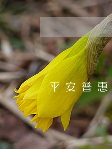 平安普惠逾期4天要过来清洁清单 平安普惠逾期4天要过来清洁清单