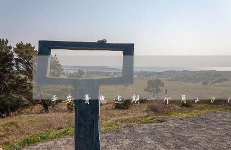 平安普惠逾期一个月2019 平安普惠逾期一个月2019