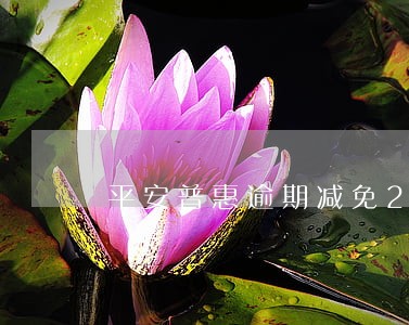 平安普惠逾期减免20 平安普惠逾期减免20