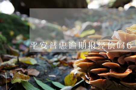 平安普惠逾期报经侦吗6 平安普惠逾期报经侦吗6