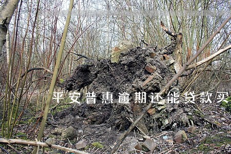 平安普惠逾期还能贷款买房吗 平安普惠逾期还能贷款买房吗