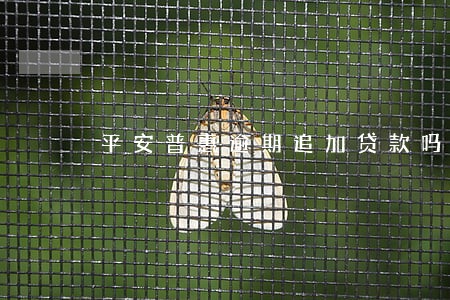 平安普惠逾期追加贷款吗