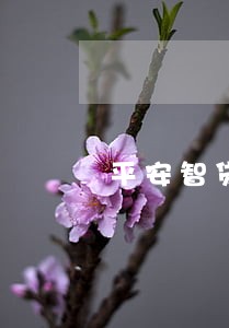 平安智贷逾期10天 平安智贷逾期10天