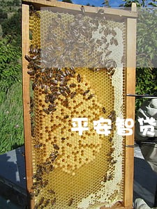 平安智贷逾期3期 平安智贷逾期3期