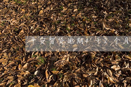 平安智贷逾期4千2个月后果 平安智贷逾期4千2个月后果