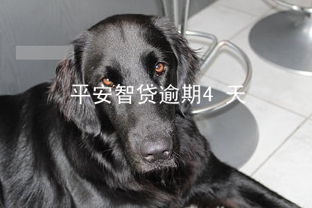 平安智贷逾期4天 平安智贷逾期4天