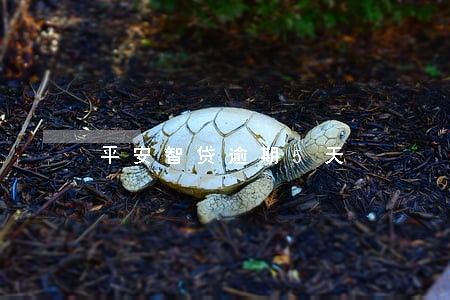 平安智贷逾期5天 平安智贷逾期5天