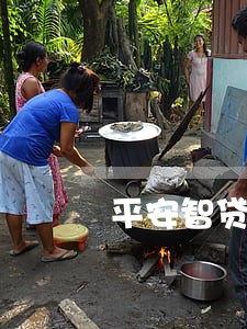 平安智贷逾期80天怎么办