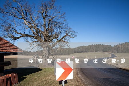 平安智贷钱包忘记还款逾期5天 平安智贷钱包忘记还款逾期5天