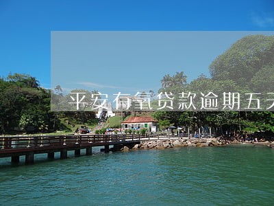 平安有氧贷款逾期五天怎么办