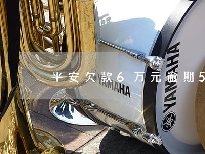平安欠款6万元逾期5个月