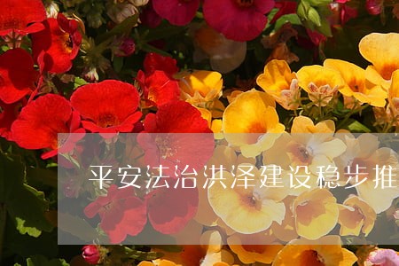 平安法治洪泽建设稳步推进 平安法治洪泽建设稳步推进