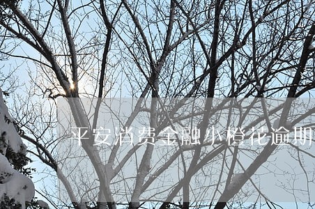 平安消费金融小橙花逾期9w 平安消费金融小橙花逾期9w