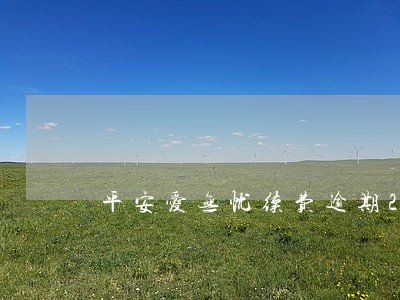 平安爱无忧续费逾期27天 平安爱无忧续费逾期27天