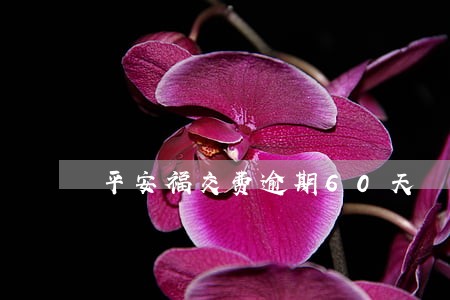 平安福交费逾期60天 平安福交费逾期60天