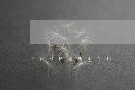 平安租赁逾期4个月