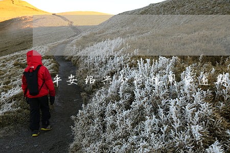 平安绍兴分行信用贷逾期怎么协商 平安绍兴分行信用贷逾期怎么协商