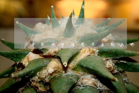 平安网申信用卡逾期去哪里协商