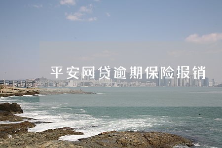 平安网贷逾期保险报销