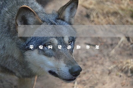 平安网贷逾期半年 平安网贷逾期半年