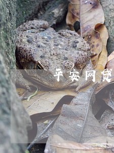 平安网贷逾期影响紧急联系人吗 平安网贷逾期影响紧急联系人吗
